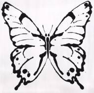 Picture of WIDE EYED TO FLUTTER