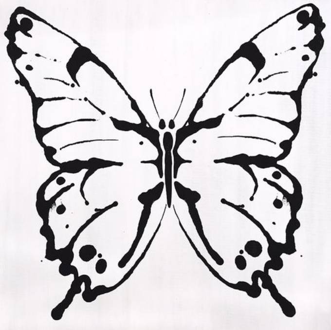 Picture of WIDE EYED TO FLUTTER