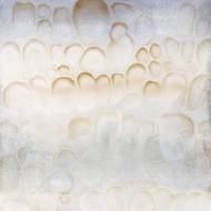 Picture of GOLDEN TEARS
