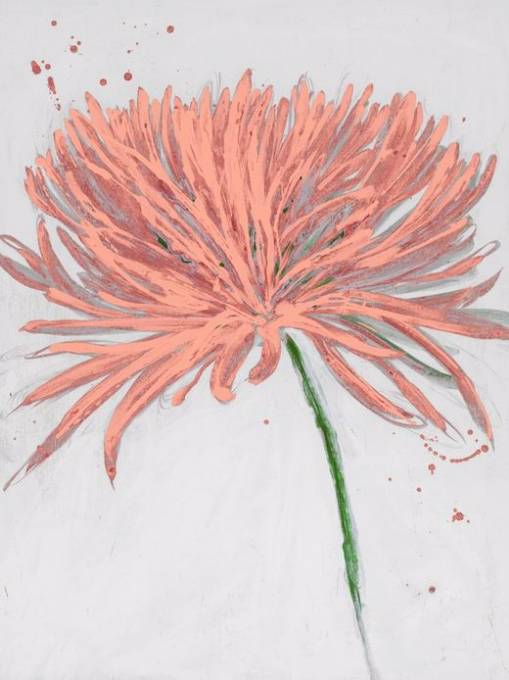 Picture of BLUSH BLOOM