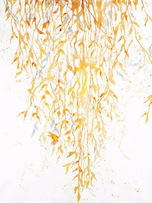 Picture of BRASSY FALL