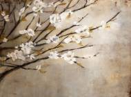 Picture of BRITTLE BLOOM
