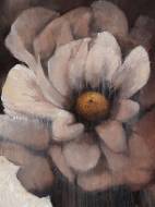 Picture of CHESTNUT REFINEMENT
