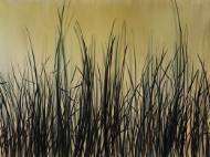 Picture of NATURES BRISTLE