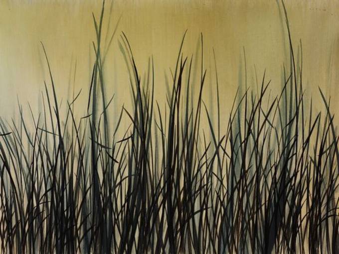 Picture of NATURES BRISTLE