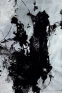 Picture of PANACEA