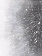 Picture of WHITE LIGHTNING