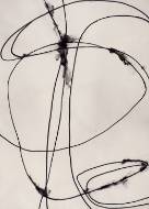 Picture of TANGLED TIES