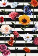 Picture of STREAKES OF FLOWERS