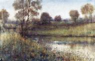 Picture of SPORTING FIELDS