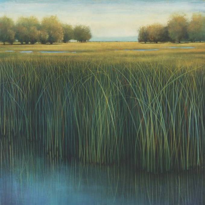 Picture of SPRITZER FIELDS