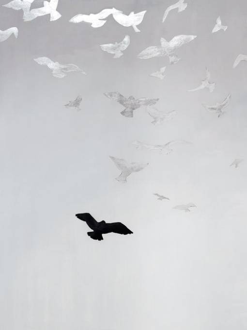 Picture of SPIRIT FLIGHT