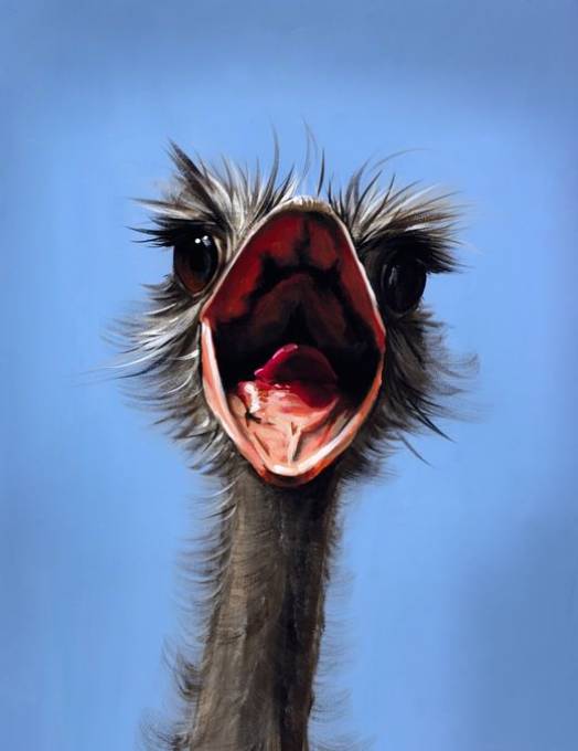 Picture of SHUT UP