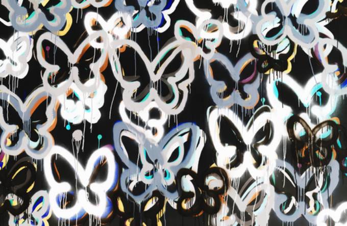Picture of X RAY BUTTERFLY