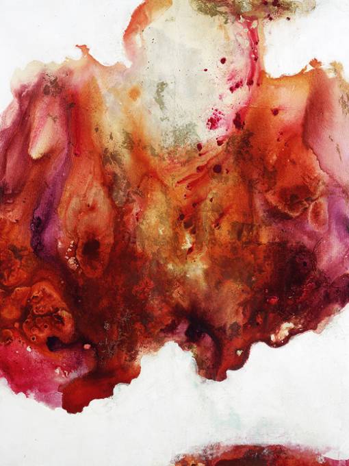 Picture of CRANBERRY WITH A SPLASH