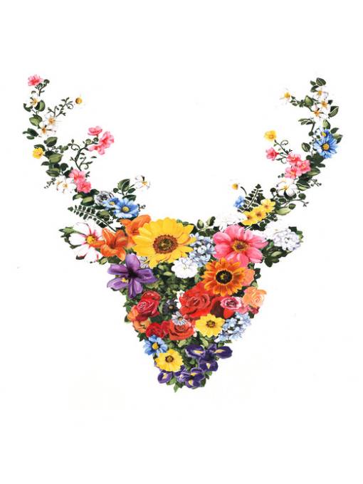 Picture of DOE A DEER