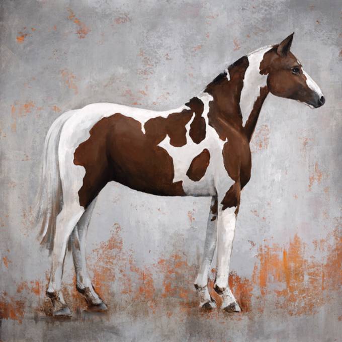 Picture of FEARLESS COLT