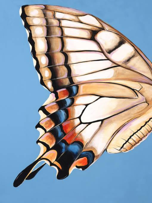 Picture of ICONIC WING SPAN