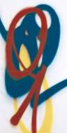 Picture of PRIMARY MARK I