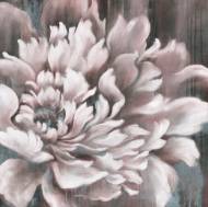 Picture of ROSEY BLUSH II
