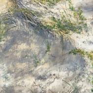Picture of BELOW THE DUNE