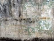 Picture of LEVEE