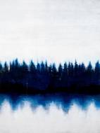 Picture of SHADOW LAKE