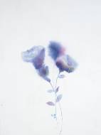 Picture of BLURRED PERENNIAL I