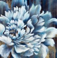 Picture of BLUSHING BLUE II