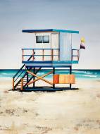 Picture of BAYWATCH BEAUTIES I