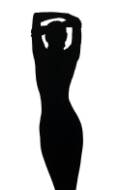 Picture of DRESS FOR THE STAGE IX