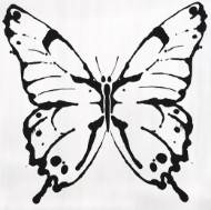 Picture of WIDE EYED TO FLUTTER