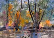 Picture of LIVELY CREEK