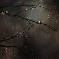 Picture of SPRING ARRIVAL