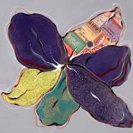 Picture of PAPER TRAIL