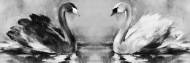 Picture of LAGOON TWINS