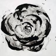 Picture of BLACK BEAUTY