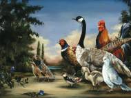 Picture of FEAST OR FOWL