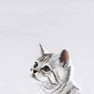 Picture of CHASING MY TAIL I