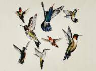 Picture of SONGS FROM ABOVE