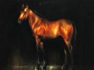 Picture of NOBILITY CONTEST