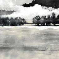 Picture of DARK SKIES V