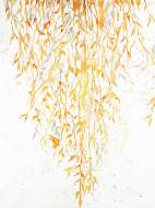 Picture of BRASSY FALL