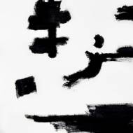 Picture of ARTIST BRAIL XVI