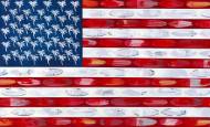 Picture of AMERICAN SURFER