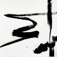Picture of ARTIST BRAIL XI
