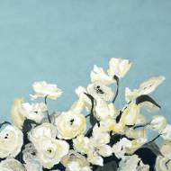 Picture of BLUE SKY BLOOMS