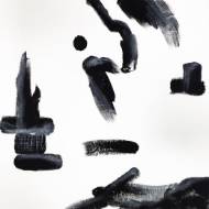 Picture of ARTIST BRAIL II