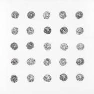 Picture of 2 DOZEN PLUS ONE VI