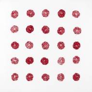 Picture of 2 DOZEN PLUS ONE V